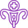 Endometrial Ablation Icon