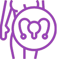 Hysterectomy Icon