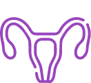 C-Section icon