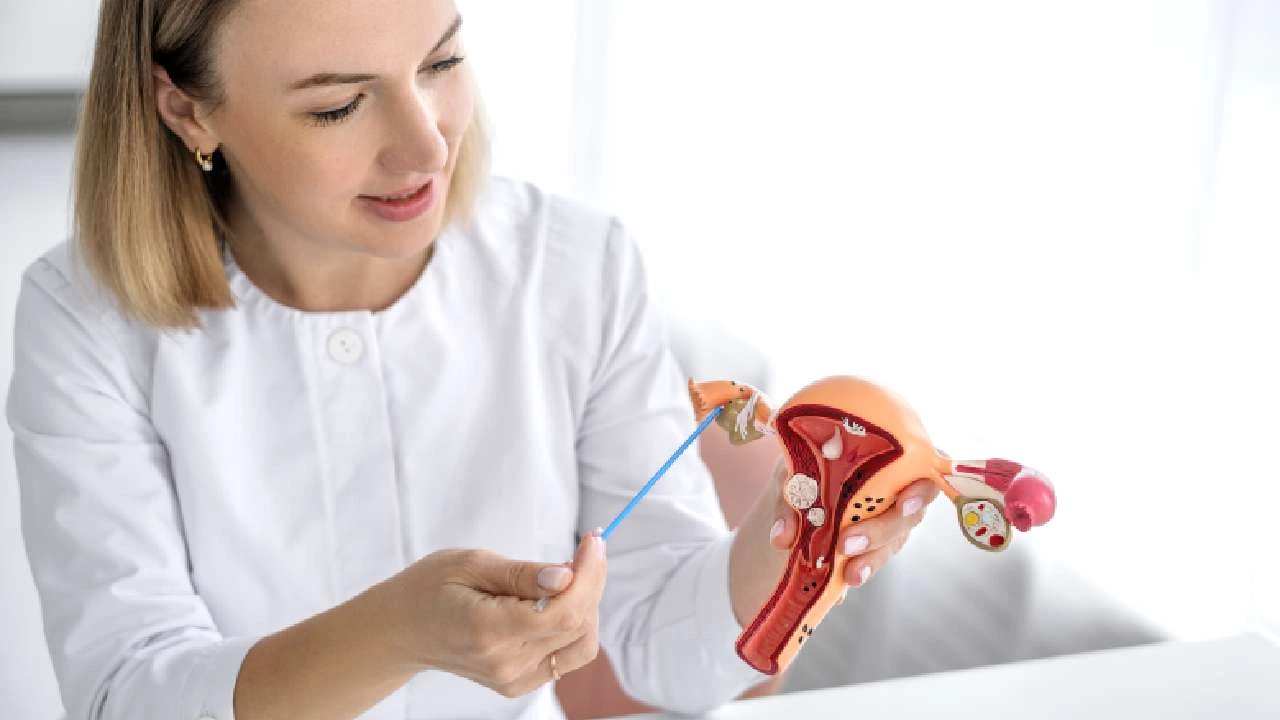 VTC Logo for blog posts does fibroid removal affect hormones?