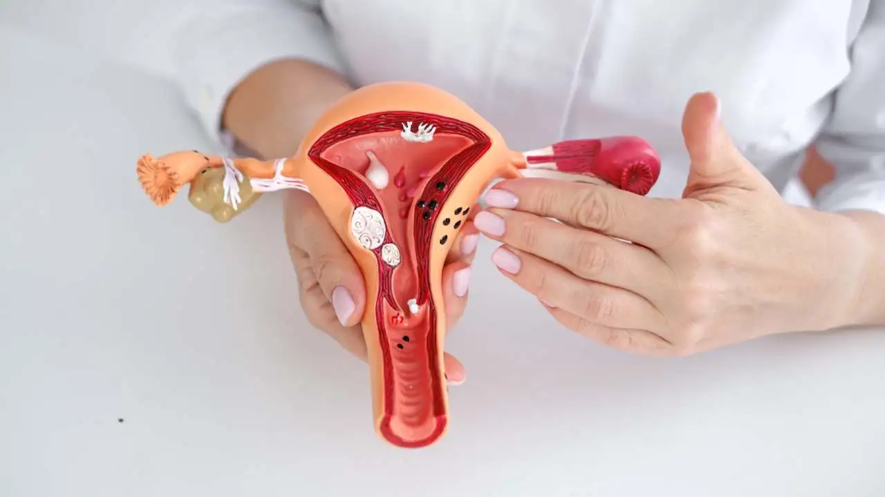 VTC Logo for blog posts does fibroid removal affect hormones?