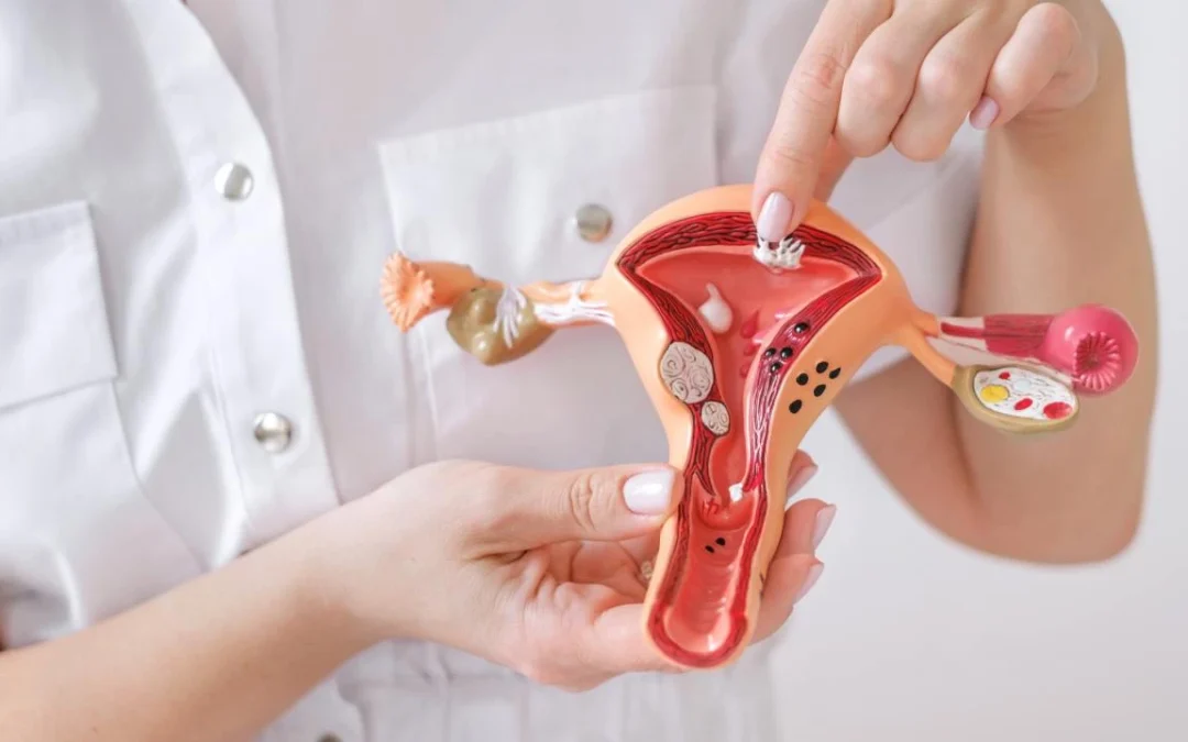 What Are Fibroids and How Do They Work?