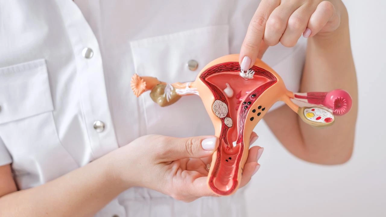 VTC Logo for blog posts does fibroid removal affect hormones?